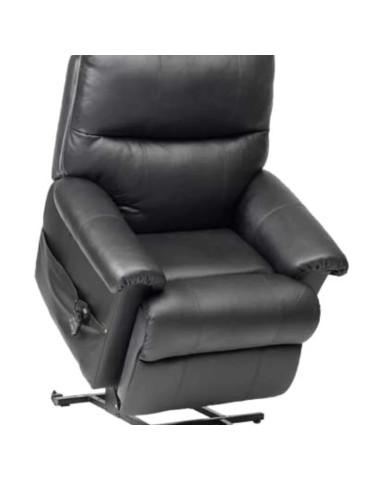 Borg Rise Recliner – Dual Motor with USB (Black... 2