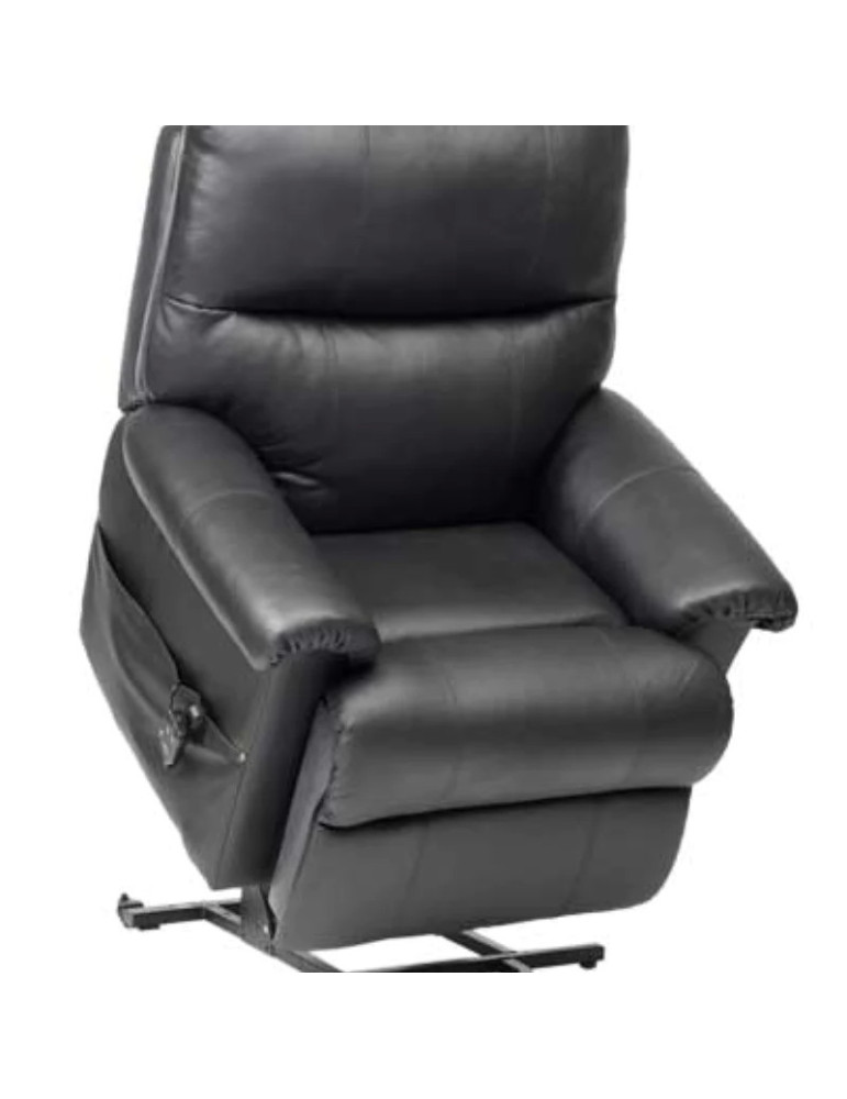 Borg Rise Recliner – Dual Motor with USB (Black...
