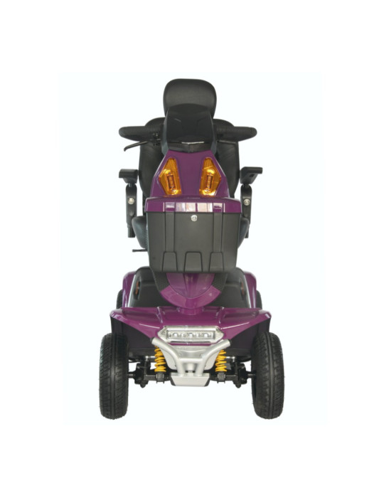 Blazer - Electric Scooter